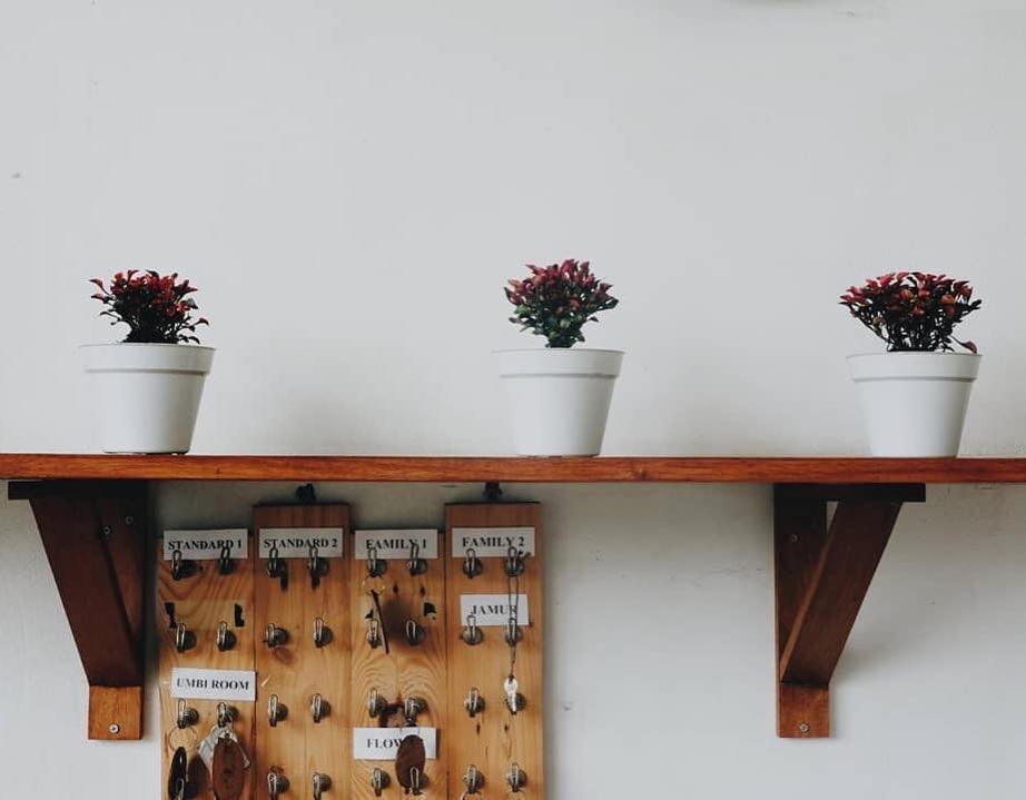 بيت شباب تاني جيوا Diyeng المظهر الخارجي الصورة